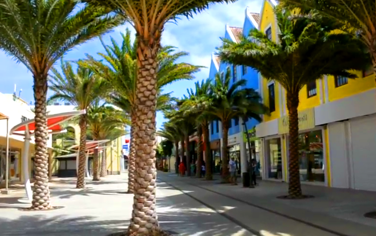 Aruba TV Plus - Oranjestad palm-lined street with colorful Dutch colonial buildings in Aruba